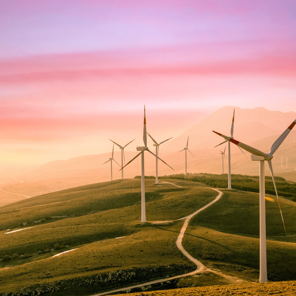 Selecta Eco Joy Header.jpg