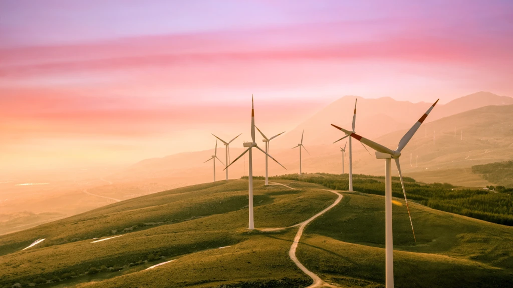 Selecta Eco Joy Header.jpg